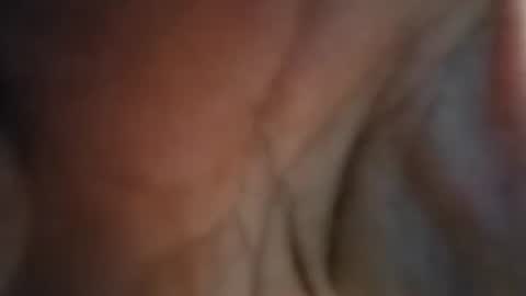 Snapshot of lilcockinhand chatting on 01.02.25 Lilcockinhand online show from 01.02.25