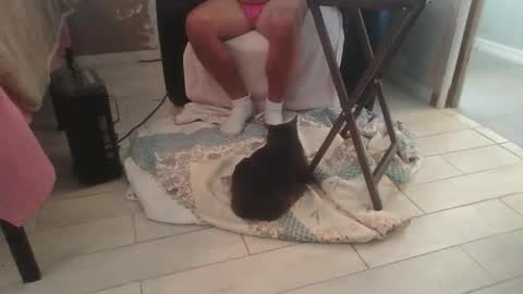 lildicksissy online show from 11.28.25