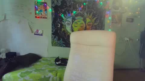 Snapshot of lileyfoxxx chatting on 03.19.26 Lil online show from 03.19.26