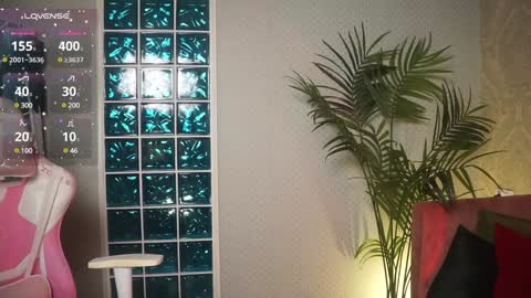 Snapshot of lili_01 chatting on 12.25.24 Lili online show from 12.25.24