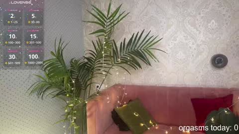 Snapshot of lili_01 chatting on 12.30.24 Lili online show from 12.30.24