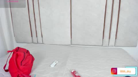 Snapshot of lilith_dry chatting on 11.04.25 lilith_dry online show from 11.04.25