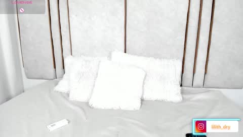 Snapshot of lilith_dry chatting on 11.06.25 lilith_dry online show from 11.06.25