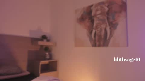 Snapshot of lilith_sage_ chatting on 07.14.26 lilith_sage_ online show from 07.14.26