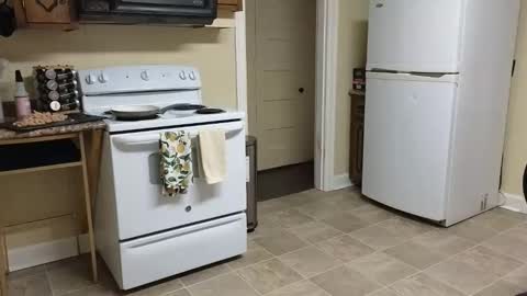 lilly_adams88 online show from 02.20.26