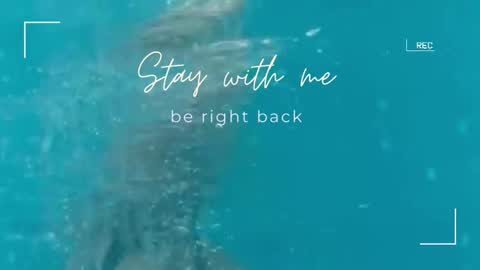 Snapshot of lily_foster_ chatting on 09.29.25 Lily online show from 09.29.25