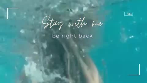 Snapshot of lily_foster_ chatting on 09.30.25 Lily online show from 09.30.25