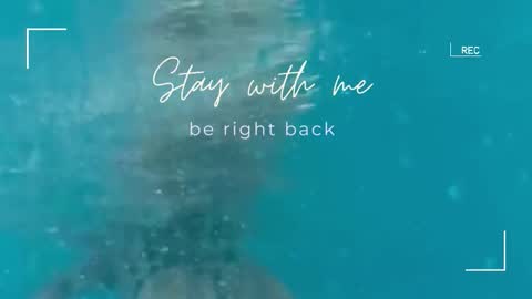 Snapshot of lily_foster_ chatting on 11.01.25 Lily online show from 11.01.25