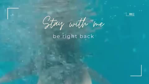 Snapshot of lily_foster_ chatting on 11.02.25 Lily online show from 11.02.25