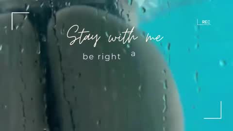 Snapshot of lily_foster_ chatting on 11.09.25 Lily online show from 11.09.25