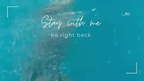 Snapshot of lily_foster_ chatting on 11.10.25 Lily online show from 11.10.25