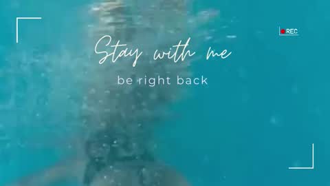 Lily online show from 11.19.25