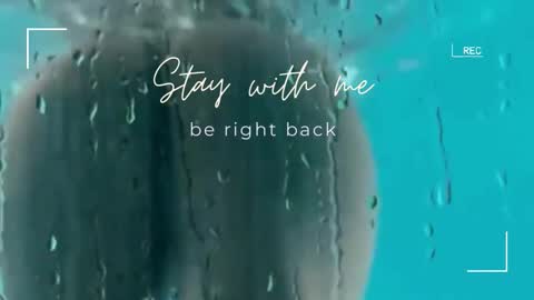 Lily online show from 12.21.25