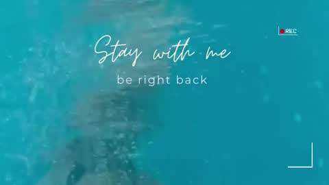 Lily online show from 03.06.26