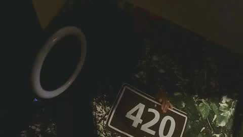 Snapshot of lilybvixen chatting on 02.25.26 lilybvixen online show from 02.25.26