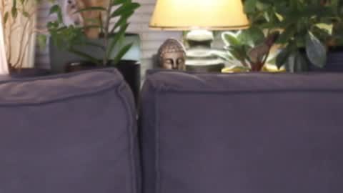 -- My Wishlist  online show from 11.13.25