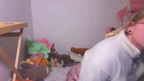 lime cat online show from 10.18.25