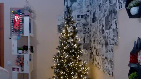 Snapshot of liniq chatting on 12.14.24 Lina online show from 12.14.24