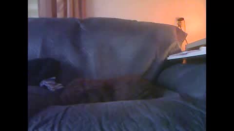 Snapshot of lion160868 chatting on 01.18.26 lion160868 online show from 01.18.26