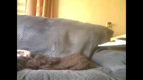 Snapshot of lion160868 chatting on 05.07.26 lion160868 online show from 05.07.26