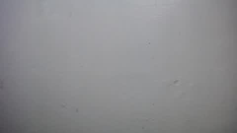 lisa_branch online show from 10.18.25