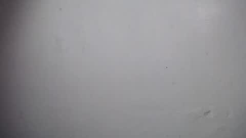 lisa_branch online show from 12.19.25