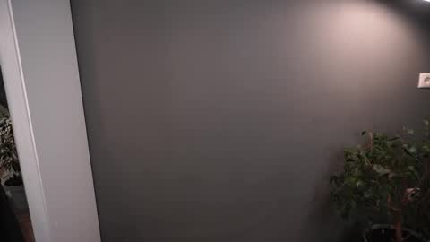 Elisabeth or Lisa online show from 11.26.25