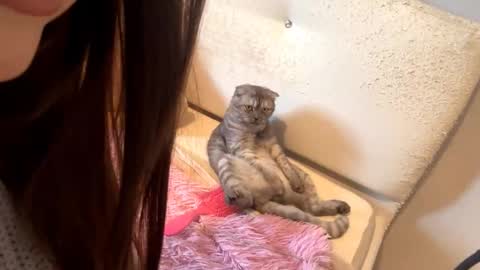 Catherine online show from 10.07.25