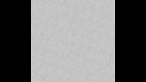 Snapshot of little_paw chatting on 10.20.25 Adaline online show from 10.20.25