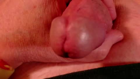 Snapshot of littlebits1234 chatting on 02.23.26 Littlebits online show from 02.23.26