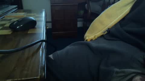 LittleDickJay online show from 01.03.25