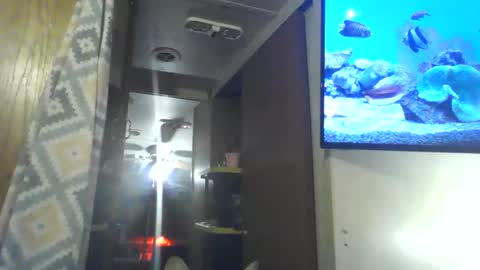 littlegrey376 online show from 03.02.26