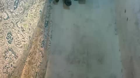 Snapshot of littlehotpanda chatting on 10.13.25 edra online show from 10.13.25