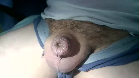 littlepecker1980 online show from 11.12.25