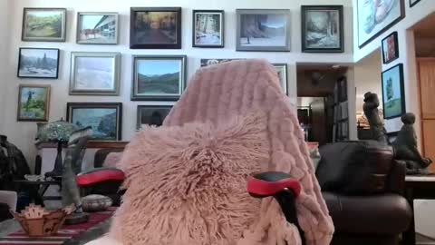 Snapshot of littlepistol chatting on 05.18.26 Miss D Shows Mon Wed Fri online show from 05.18.26