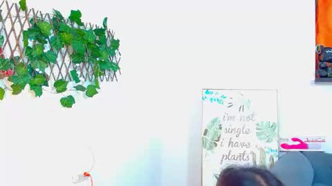 zara online show from 03.06.25