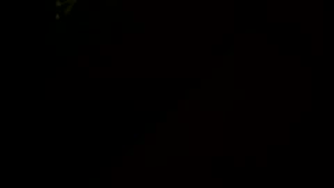 Little Tj online show from 01.17.26