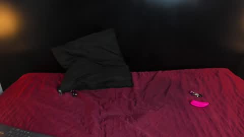 Snapshot of liz_goth chatting on 01.02.25 Liz online show from 01.02.25