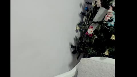 lizz1305 online show from 12.26.24