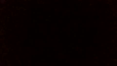 Lizzie Vonn online show from 04.25.26