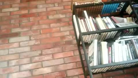 Snapshot of lllukasssxxx chatting on 11.01.25 lllukasssxxx online show from 11.01.25