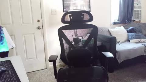 LongDick Daddy online show from 01.05.26