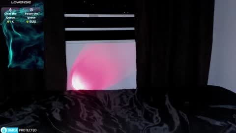 Snapshot of lnxmst chatting on 12.23.24 Lynx Mist online show from 12.23.24