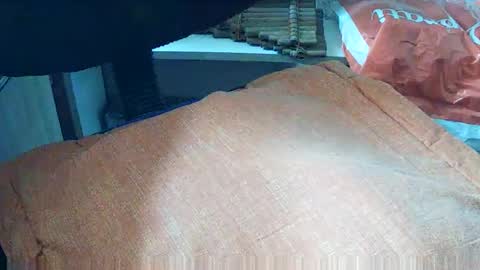 loboxavi online show from 09.19.25