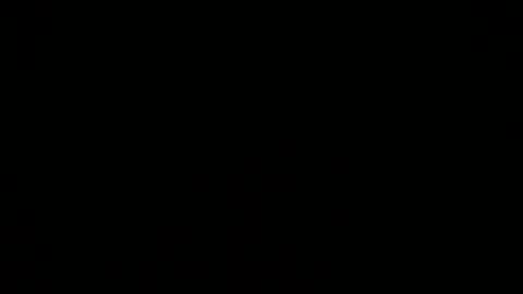 lodovicense1984 online show from 03.02.26