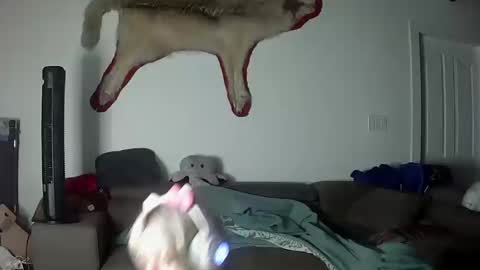 Lola Lixx online show from 10.17.25