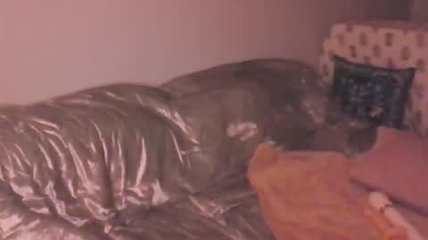 Lola Peach xo online show from 03.20.26