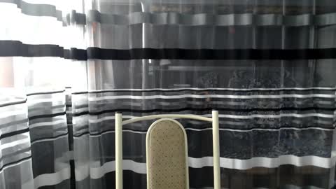 Snapshot of lollifox_1 chatting on 10.05.25 Lisa online show from 10.05.25