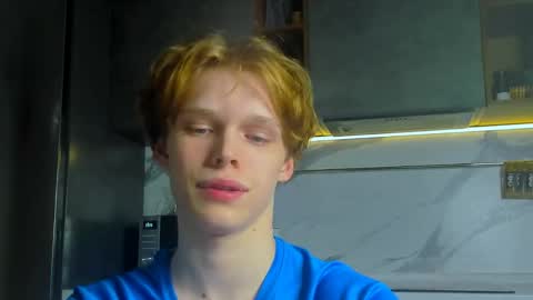 Snapshot of lolnoillimsary chatting on 04.26.26 Nelis online show from 04.26.26