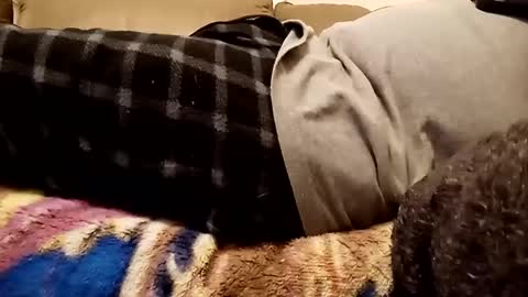 Snapshot of looking4bush chatting on 12.01.24 looking4bush online show from 12.01.24